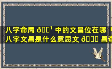 八字命局 🌹 中的文昌位在哪「八字文昌是什么意思文 🐞 昌查法」